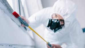 Best Fumigation Services  in Cardington, OH